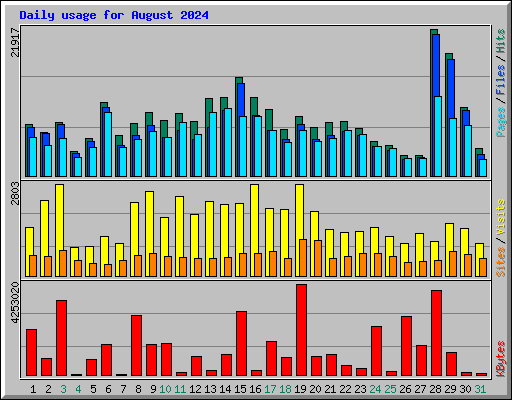 Daily usage for August 2024