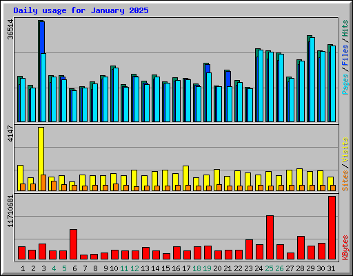 Daily usage for January 2025