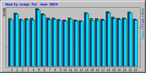 Hourly usage for June 2024