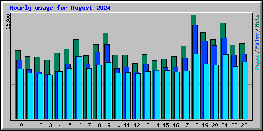 Hourly usage for August 2024