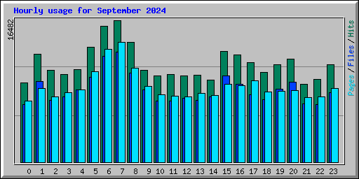 Hourly usage for September 2024