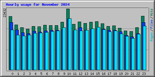 Hourly usage for November 2024