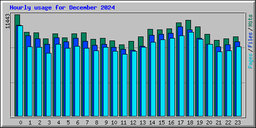 Hourly usage for December 2024