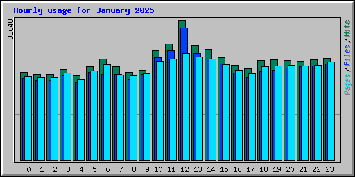 Hourly usage for January 2025