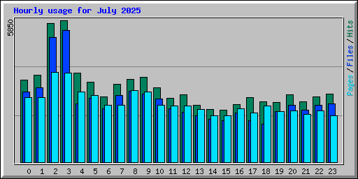 Hourly usage for July 2025