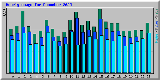 Hourly usage for December 2025